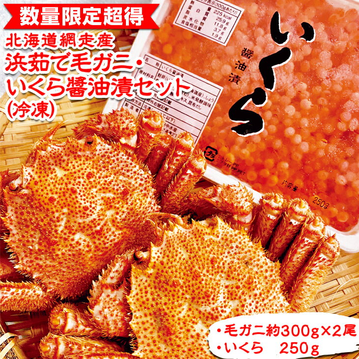 【ふるさと納税】【数量限定】「浜茹で毛ガニ・イクラ醤油漬セット」冷凍(網走加工) 【 ふるさと納税 人気 おすすめ ランキング 毛がに いくら醤油漬 鮭いくら セット おいしい 北海道 網走市 送料無料 】 ABC007
