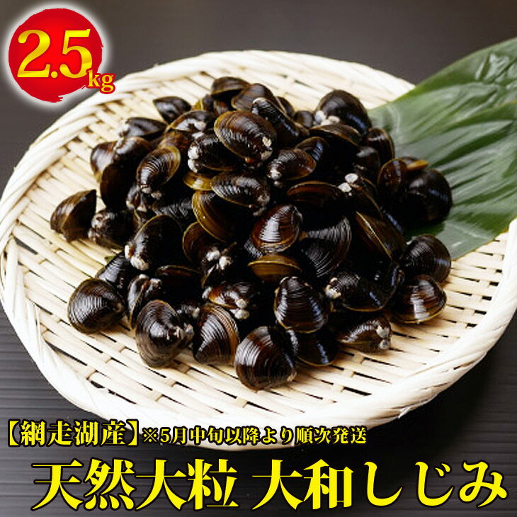 ふるさと納税で貰える貝類の人気おすすめランキング39選 還元率ランキングも Gooふるさと納税