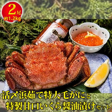 【ふるさと納税】活〆浜茹で特大毛がにと特製甘口いくら醤油漬けセット