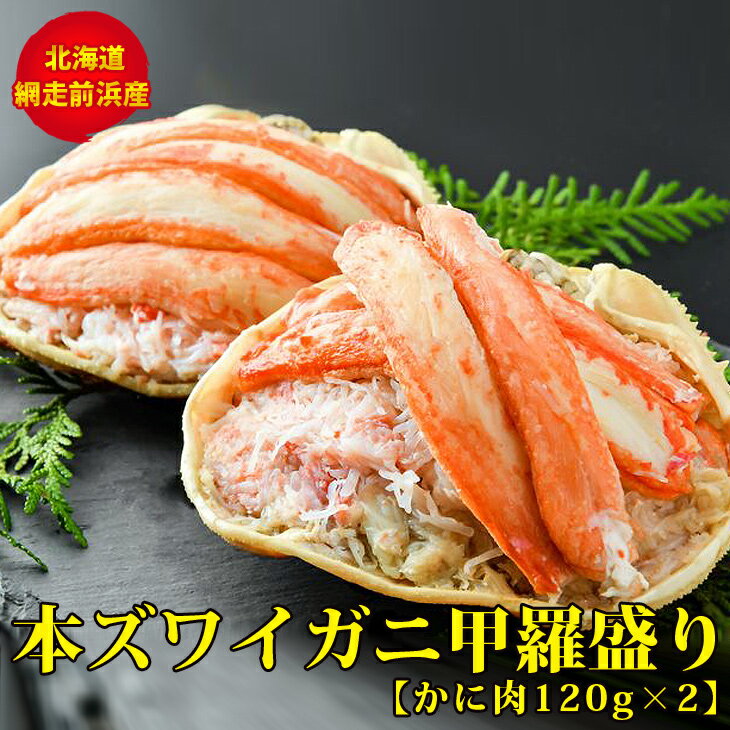 【ふるさと納税】網走前浜産 本ズワイガニ甲羅盛り【かに肉120g×2】 ズワイガニ ※離島への配送不可