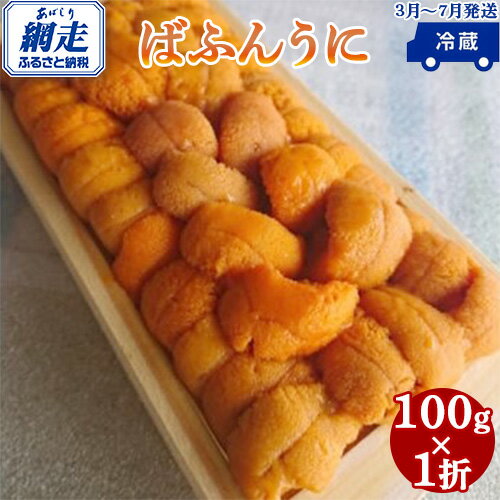 【ふるさと納税】 うに 【期間限定】＜網走産＞生エゾばふんうに 冷蔵100g×1折【2023年3月から7月の期間に発送予定】◇