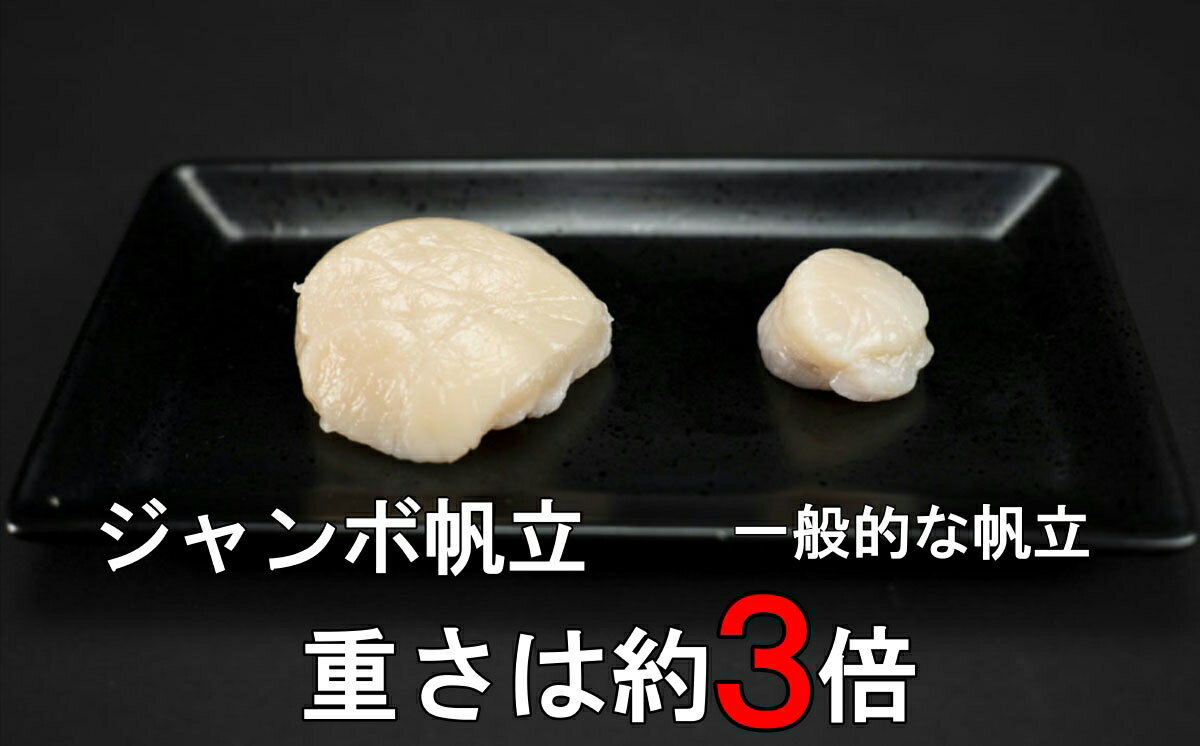 【ふるさと納税】 LLサイズ 刺身用帆立貝柱 1kg＜網走加工＞ 1粒約60g 【 ふるさと納税 人気 おすすめ ランキング ほたて ホタテ 帆立 貝柱 ほたて貝柱 ホタテ刺身 帆立貝柱 魚介 魚介類 オホーツク産 新鮮 刺身 バター焼き 大粒 北海道 網走市 送料無料 】 ABX006