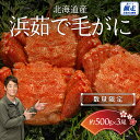 【ふるさと納税】【数量限定】<北海道産>浜茹で毛がに【約500g×3尾】(網走加工) 【 ふるさと納税 人気 おすすめ ランキング 毛蟹 毛ガニ 毛がに かに味...