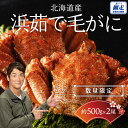 【ふるさと納税】【数量限定】<北海道産>浜茹で毛がに【約500g×2尾】(網走加工) 【 ふるさと納税 人気 おすすめ ランキング 毛蟹 毛ガニ 毛がに かに味...