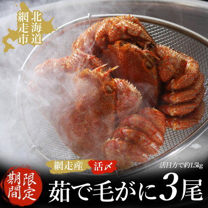 【期間限定】＜網走産＞流氷海明け活〆茹で毛がに 3尾セット【2024年4月上旬発送開始予定】【 ふるさと納税 人気 おすすめ ランキング 毛がに 毛ガニ 毛蟹 カニ ガニ 蟹 海鮮 新鮮 かに味噌 カニ味噌 冷蔵 オホーツク 北海道 網走市 送料無料 】 ABAO1058