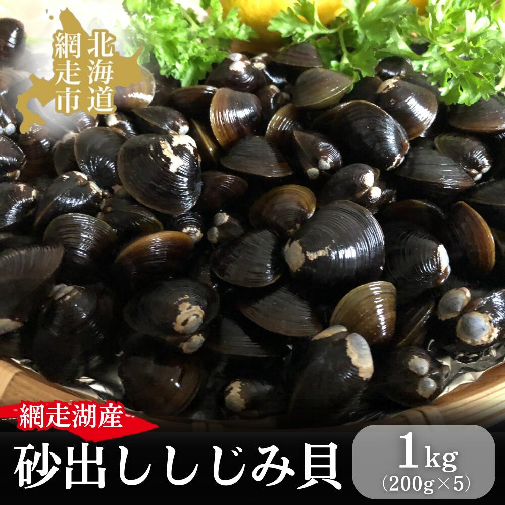 網走湖産の砂出ししじみ貝200g×5袋 [ ふるさと納税 人気 おすすめ ランキング しじみ シジミ 蜆 しじみ貝 シジミ貝 貝シジミ汁 しじみ汁 貝 砂抜き 砂出し 冷凍 1kg 網走湖 網走湖産 オホーツク 北海道 網走市 送料無料 ]