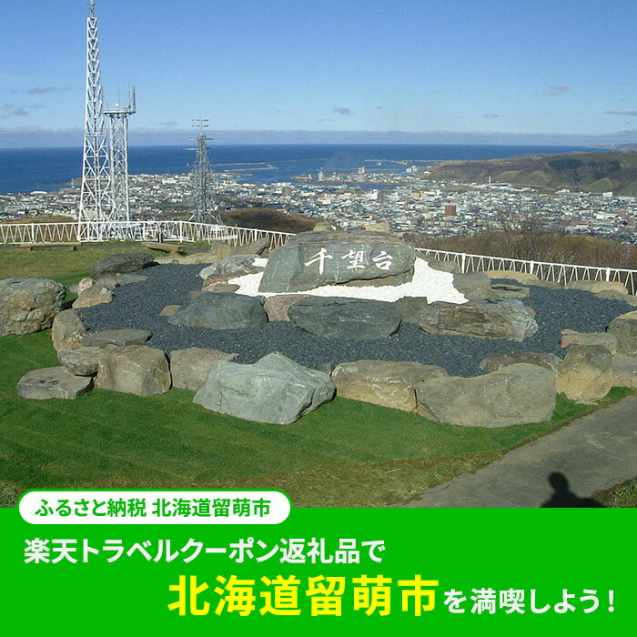 【ふるさと納税】ふるさと納税　北海道留萌市の対象施設で使える 楽天トラベルクーポン 寄付額20,000円(クーポン6,000円)　【高級宿・宿泊券・旅行】その2