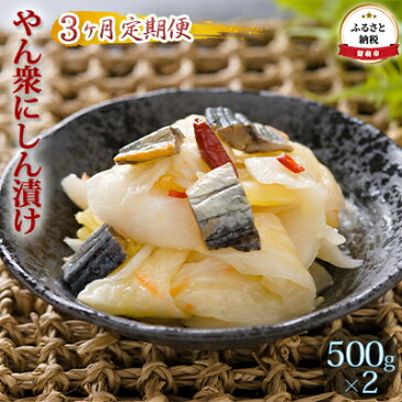 【ふるさと納税】【3ヶ月定期便】　やん衆にしん漬け 500g×2　【定期便・漬物・にしん漬け・野菜・お漬物・3ヶ月・3回】