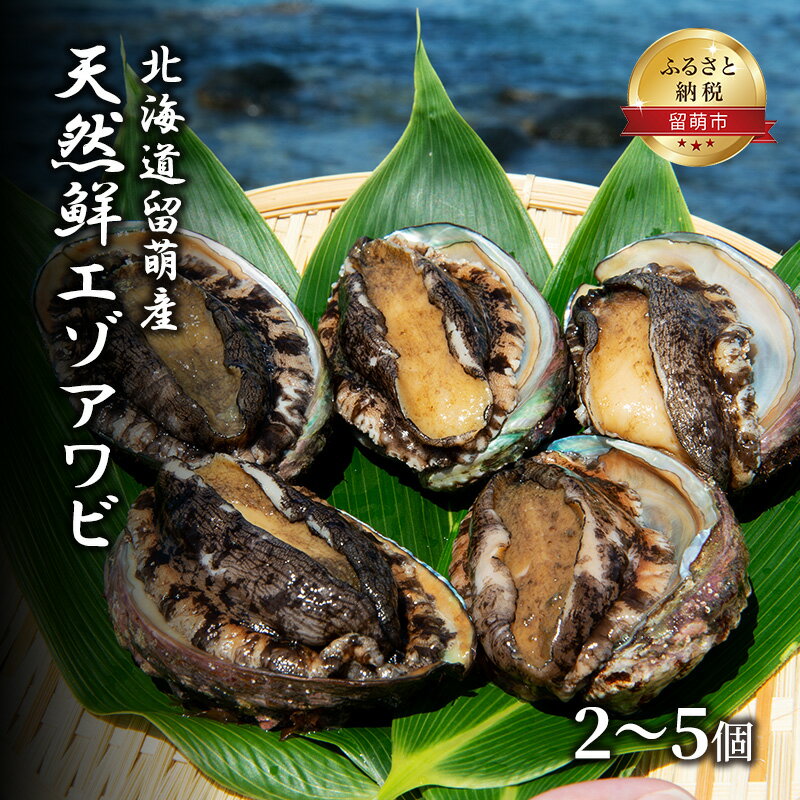 日時指定不可[産地直送]北海道留萌産天然鮮エゾアワビ 3〜5個 [魚貝類・あわび・鮑]