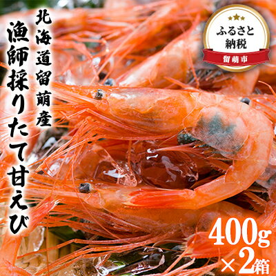 【ふるさと納税】甘エビ 北海道 漁師採りたて 甘えび 400