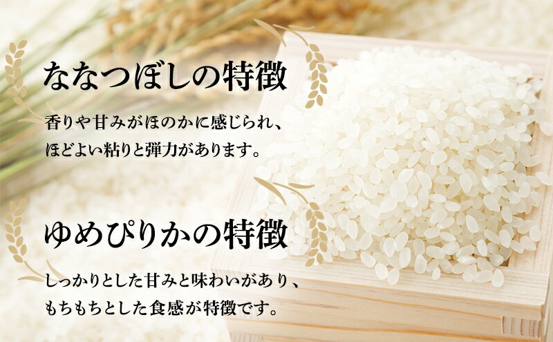 【ふるさと納税】北海道南るもい産【ゆめぴりか・ななつぼし】（白米）各5kg　【ふるさと納税 ゆめぴりか ななつぼし お米 白米 米 北海道 】 3