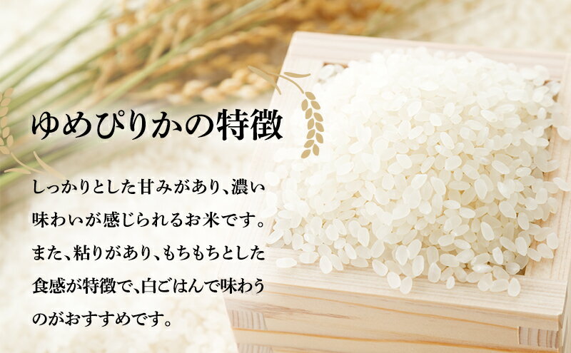 【ふるさと納税】【6ヶ月定期便】北海道南るもい産 ゆめぴりか（白米）5kg×2袋　【定期便・ 米 ふるさと納税 ゆめぴりか 定期便 お米 白米 6ヶ月 6回 】 3