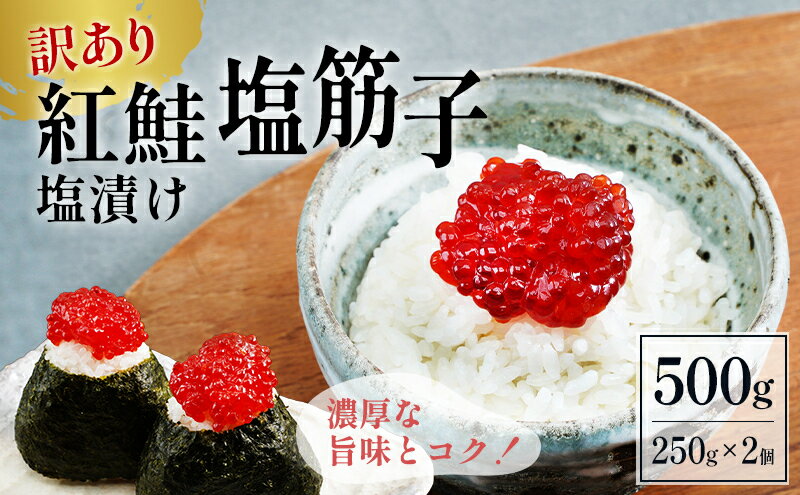 【ふるさと納税】すじこ 訳あり 北海道 紅鮭 塩 筋子 500g (250g×2個入） 加藤水産 ひとくちカット 不揃い 小分け 塩筋子 塩漬け 筋子塩漬け つまみ おつまみ ごはんのお供 惣菜 おかず 珍味 海鮮 海産物 海の幸 魚介 魚介類 魚卵 鮭 いくら 冷凍　【 留萌市 】