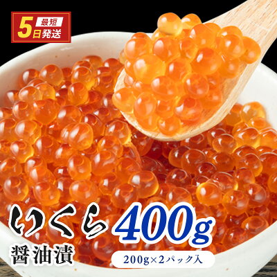 楽天ふるさと納税　【ふるさと納税】鮭いくら 醤油漬 400g（200g×2P入）小分タイプ いくら 　【 魚卵 海の幸 加工品 醤油いくら 手巻き寿司 海鮮丼 イクラ丼 寿司 寿司ネタ ご飯のお供 大粒 大粒いくら 肴 お酒のあて つまみ 】