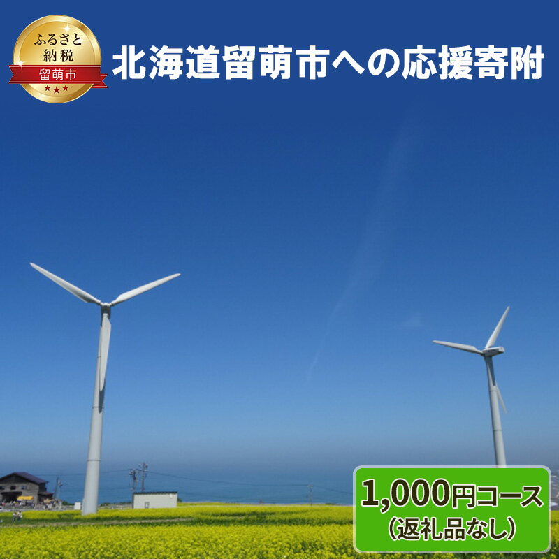 1位! 口コミ数「0件」評価「0」北海道留萌市 寄附のみの応援受付 1,000円コース（返礼品なし 寄附のみ 1000円）　【 チケット 寄付 応援 留萌市 】