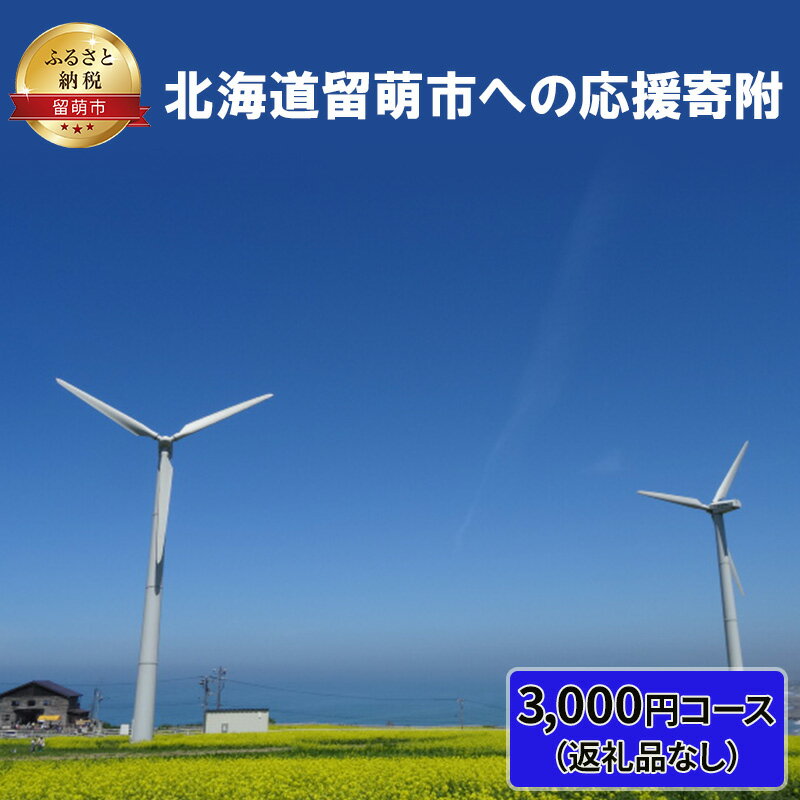 北海道留萌市 寄附のみの応援受付 3,000円コース(返礼品なし 寄附のみ 3000円) [ チケット 寄付 応援 留萌市 ]