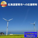 【ふるさと納税】北海道留萌市 寄附のみの応援受付 3,000円コース(返礼品なし 寄附のみ 3000円) チケット 寄付