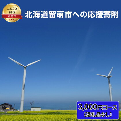 北海道留萌市 寄附のみの応援受付 3,000円コース（返礼品なし 寄附のみ 3000円）　【 チケット 寄付 応援 留萌市 】