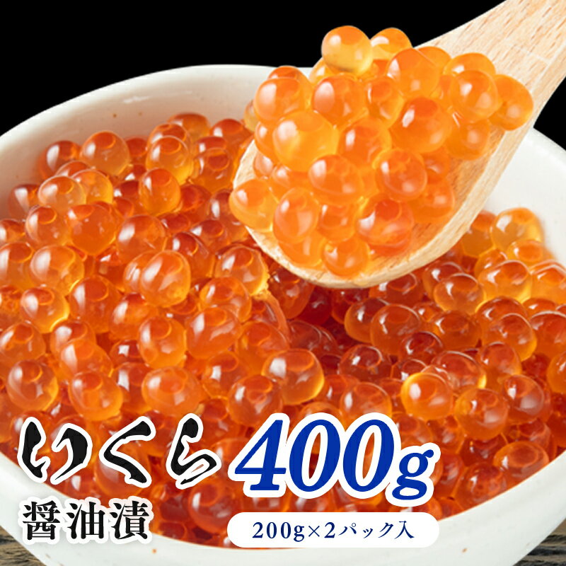 【ふるさと納税】鮭いくら 北海道 いくら 醤油漬け 400g （200g×2P入） 小分け 鮭 イクラ 醤油いくら 大粒 大粒いくら つまみ おつまみ ご飯のお供 海鮮 海産物 海の幸 魚介 魚介類 魚卵 加工品 海鮮丼 手巻き寿司 イクラ丼 寿司 寿司ネタ 冷凍 留萌　【留萌市】