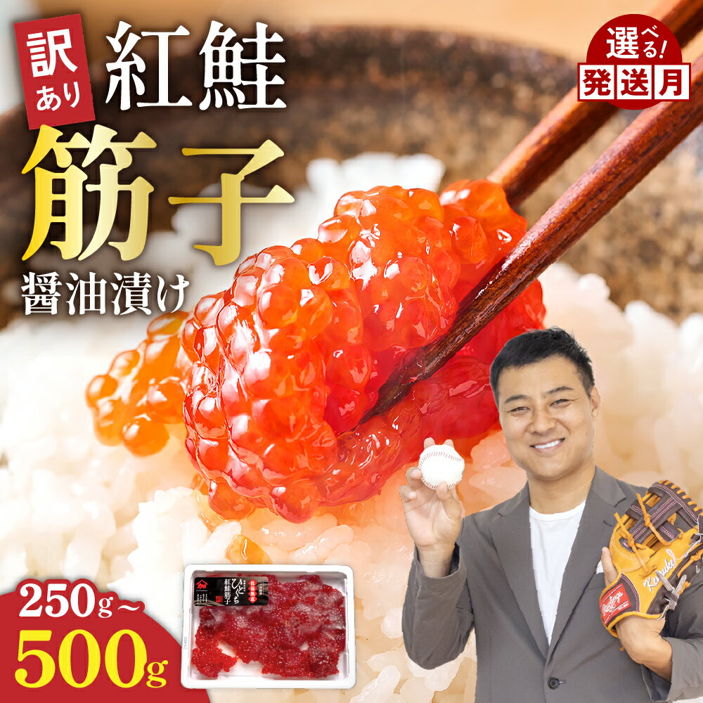 【ふるさと納税】〈選べる量・配送月〉訳あり 北海道 紅鮭 筋子 醤油 漬け 250g〜500g (250g×2個入) 加藤水産 ひとくちカット 不揃い 小分け ...