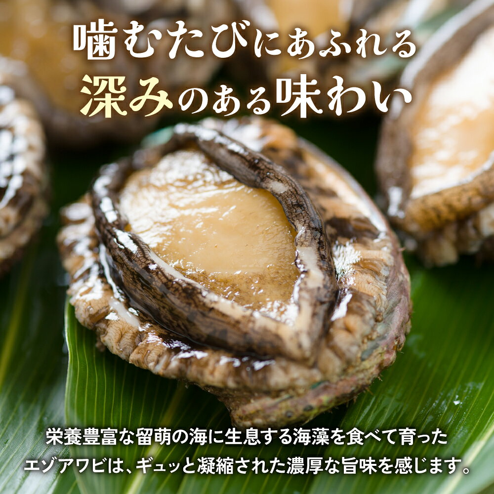 【ふるさと納税】あわび 北海道 天然 蝦夷アワビ 2～5個 産地直送 冷凍 魚貝 貝 殻付 海鮮 海産物 海の幸 魚介 魚介類 刺身 刺し身 お刺身 ステーキ バーベキュー BBQ アワビ 鮑 エゾアワビ 留萌産 留萌 留萌市 R006-008 f012122-rumoi-10000625 北海道留萌市 サンプル画像3