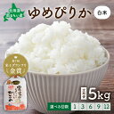 【ふるさと納税】先行予約 回数が選べる 定期便 北海道留萌産「ゆめぴりか」(白米)5kg R7年産米 第7回米-1グランプリinらんこし金賞 10月以降お届け ( 5kg × 1袋 ) 白米 ごはん 新米 北海道 留萌市