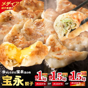 【ふるさと納税】<選べる種類と容量> ぎょうざの宝永 宝永 餃子 チーズ餃子 1kg ~ 1.5kg 冷凍 ギョーザ 肉 野菜 チーズ 食べ比べ セット 水餃子 焼き餃子 もちもち ジューシー 中華 北海道 苫小牧市 おすすめ ランキング プレゼント ギフト