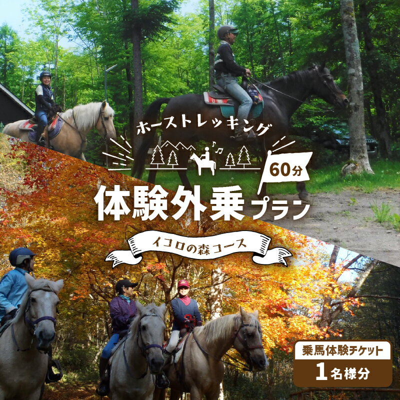 28位! 口コミ数「0件」評価「0」ホーストレッキング 体験外乗プラン コースが選べる 北海道 苫小牧