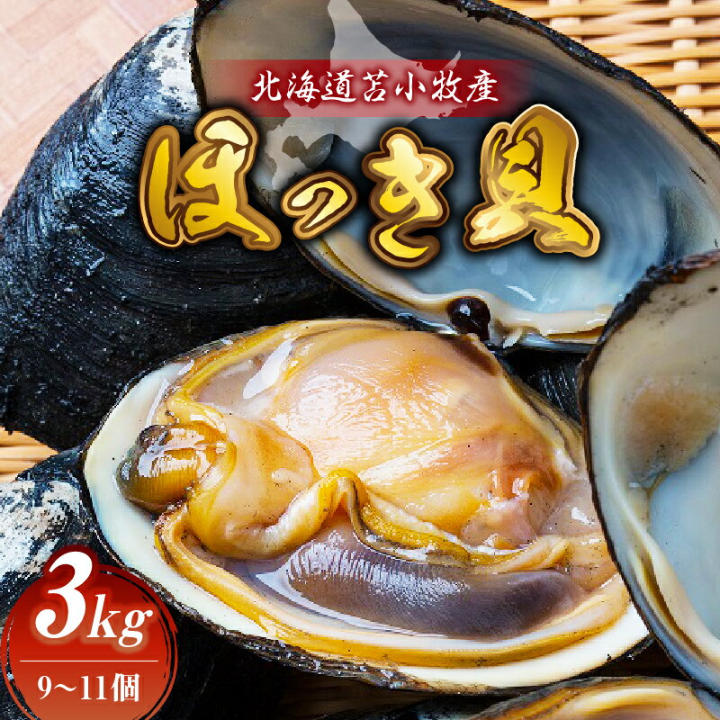 【ふるさと納税】北海道苫小牧産　ほっき貝　3kg（9～11個） 魚介類 水産 食品 人気 おすすめ 送料無料のサムネイル