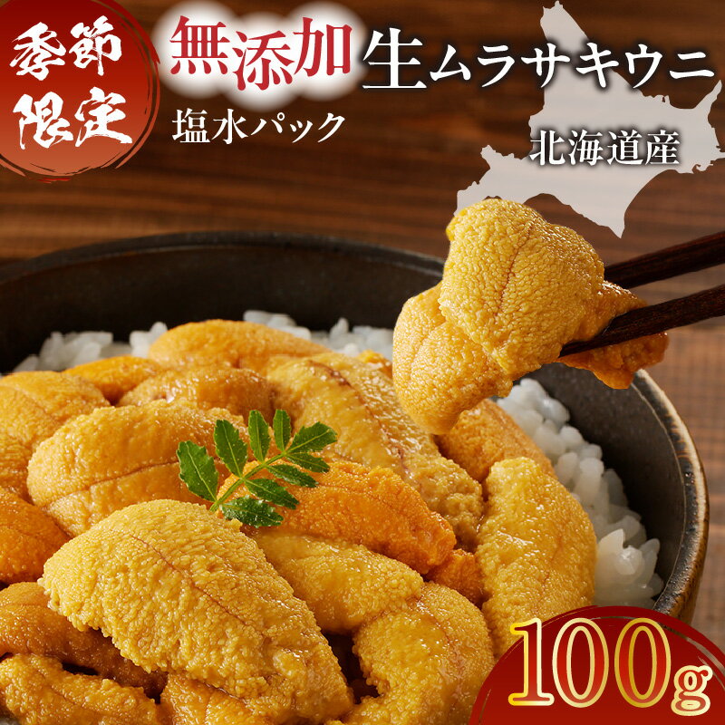 【ふるさと納税】 無添加 生ムラサキウニ 塩水パック セット 100g 生 ムラサキウニ うに ウニ