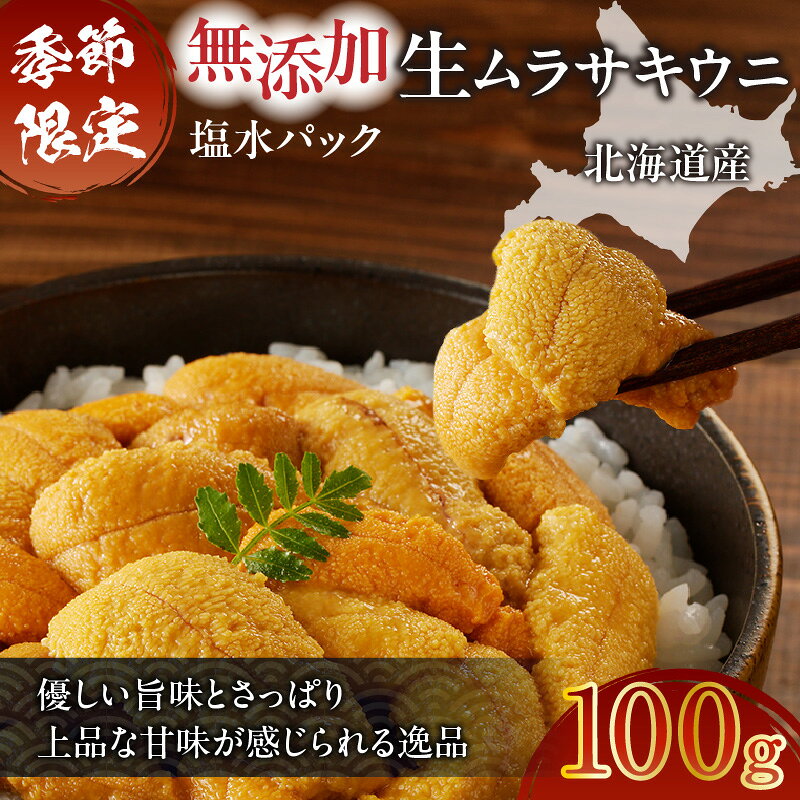 【ふるさと納税】 無添加 生ムラサキウニ 塩水パック セット 100g 生 ムラサキウニ うに ウニ 雲丹 海産物 季節限定 生食用 北海道産 さっぱり旨味 甘味 贅沢 ちらし寿司 美味しい 新鮮 丸恭水産 北海道 苫小牧市 おすすめ ランキング プレゼント ギフト