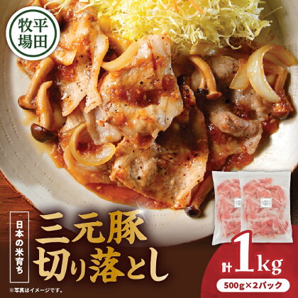 日本の米育ち平田牧場 三元豚切り落とし 500g×2（計1kg） 肉 お肉 にく 食品 苫小牧市産 人気 おすすめ 送料無料 ギフト