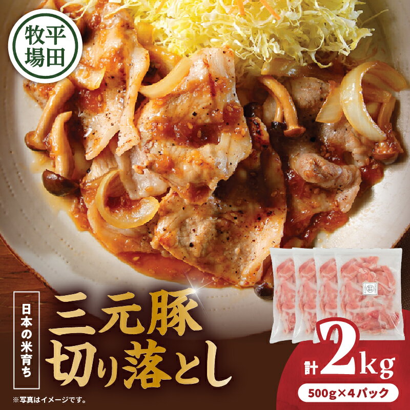 【ふるさと納税】日本の米育ち平田牧場 三元豚切り落とし 500g×4（計2kg） 肉 お肉 にく 食品 苫小牧市産 人気 おすすめ 送料無料 ギフト