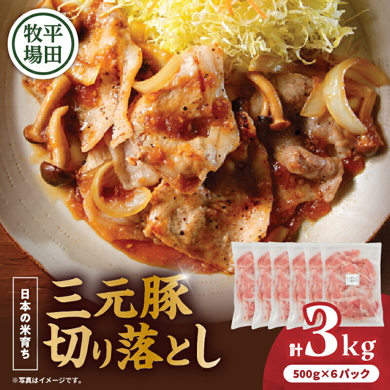 【ふるさと納税】日本の米育ち平田牧場 三元豚切り落とし 500g×6（計3kg） 肉 お肉 にく 食品 苫小牧市産 人気 おすすめ 送料無料 ギフト