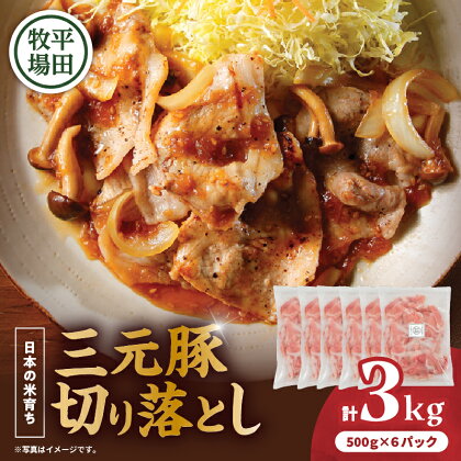 日本の米育ち平田牧場 三元豚切り落とし 500g×6（計3kg） 肉 お肉 にく 食品 苫小牧市産 人気 おすすめ 送料無料 ギフト