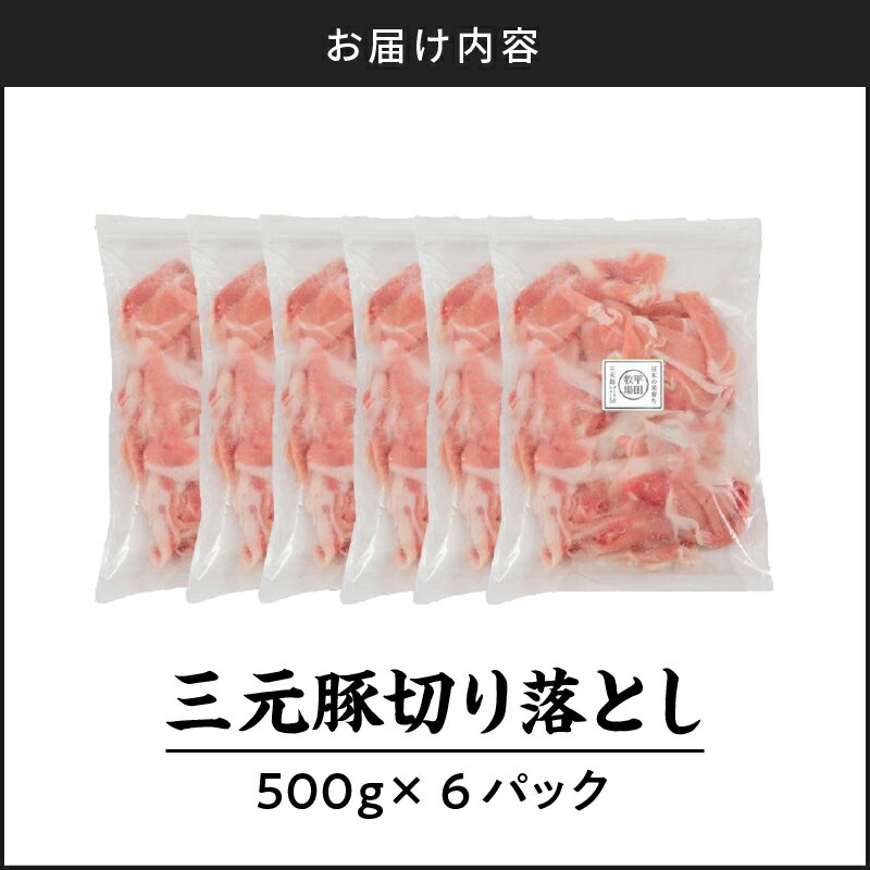 【ふるさと納税】日本の米育ち平田牧場 三元豚切り落とし 500g×6（計3kg） 肉 お肉 にく 食品 苫小牧市産 人気 おすすめ 送料無料 ギフト