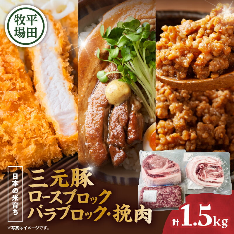 日本の米育ち平田牧場 三元豚ロースブロック(600g)・バラブロック(600g)・挽肉(300g)計1.5kg 肉 お肉 にく 食品 苫小牧市産 人気 おすすめ 送料無料 ギフト