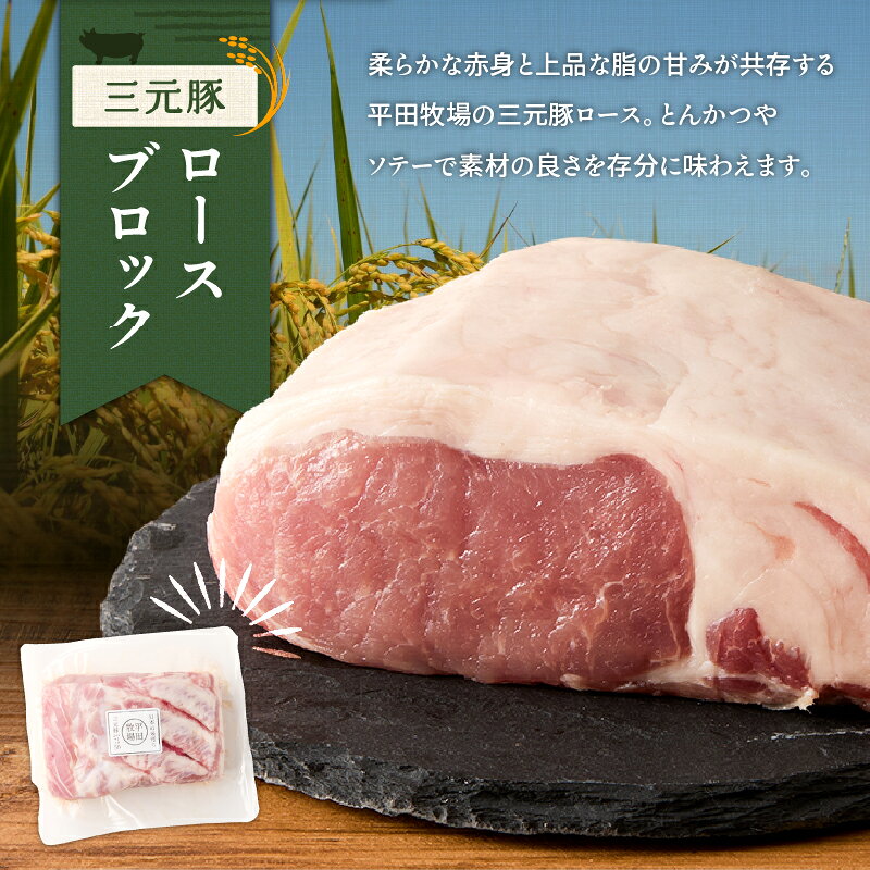 【ふるさと納税】日本の米育ち平田牧場 三元豚ロースブロック（600g）・バラブロック（600g）・挽肉（300g）計1.5kg 肉 お肉 にく 食品 苫小牧市産 人気 おすすめ 送料無料 ギフト f012131-tomakomai-10000698 北海道苫小牧市 サンプル画像3