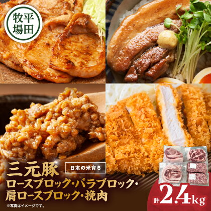 日本の米育ち平田牧場 三元豚ロースブロック・バラブロック・肩ロースブロック・挽肉　各600g（計2.4kg） 肉 お肉 にく 食品 苫小牧市産 人気 おすすめ 送料無料 ギフト