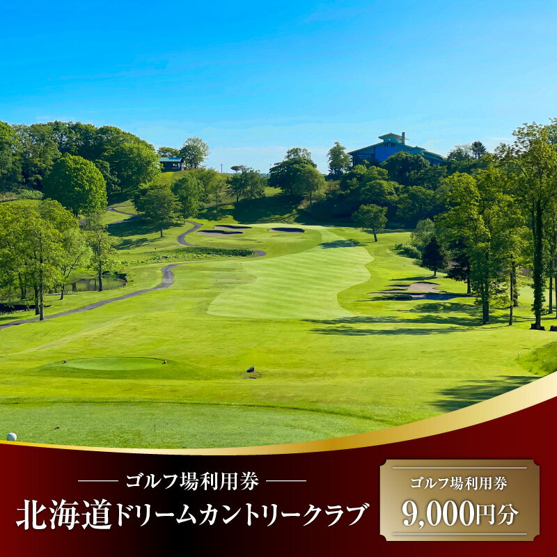 北海道ドリームカントリークラブ ゴルフ場 利用券 ゴルフ 体験 チケット プレーチケット 観光 ドリームカントリークラブ 苫小牧観光協会 ふるさと納税 北海道 苫小牧市 おすすめ ランキング プレゼント ギフト