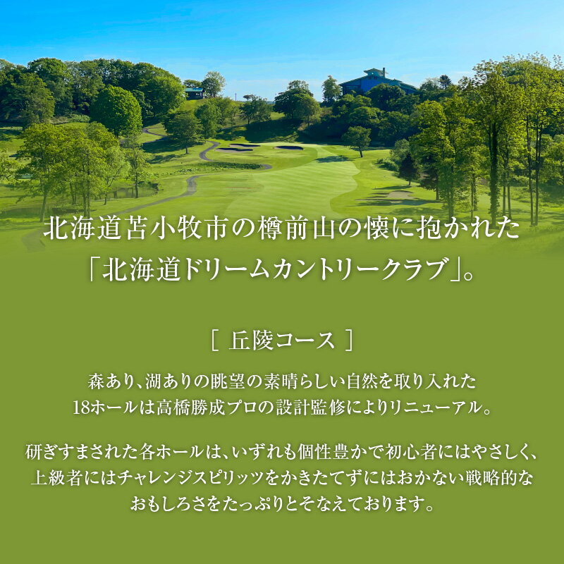 【ふるさと納税】 北海道ドリームカントリークラブ ゴルフ場 利用券 ゴルフ 体験 チケット プレーチケット 観光 ドリームカントリークラブ 苫小牧観光協会 ふるさと納税 北海道 苫小牧市 おすすめ ランキング プレゼント ギフト 3