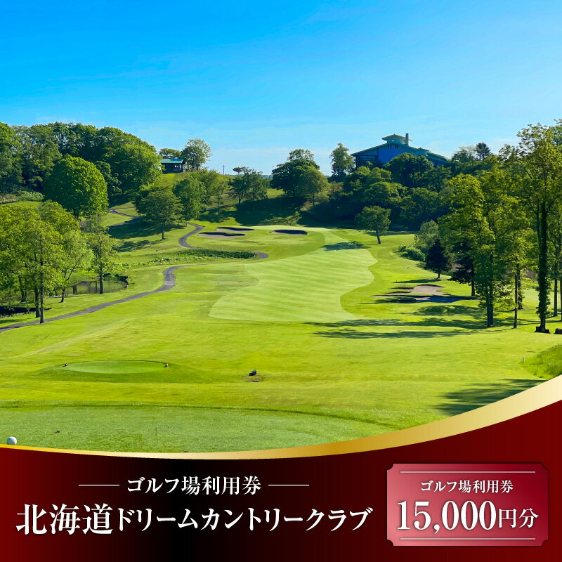 【ふるさと納税】 北海道ドリームカントリークラブ ゴルフ場 利用券 ゴルフ 体験 チケット プレーチケット 観光 ドリームカントリークラブ 苫小牧観光協会 ふるさと納税 北海道 苫小牧市 おすすめ ランキング プレゼント ギフト 2