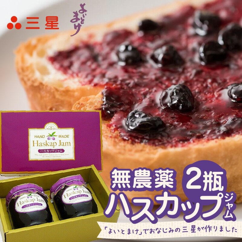 【ふるさと納税】【 ハスカップ ジャム 2瓶 】 三星 果物 フルーツ 無農薬 朝食 パン トースト ヨーグルト アイス 栄養 カルシウム 鉄分 ビタミンC アントシアニン お菓子 菓子 セット 美味しい おいしい 北海道 苫小牧市 おすすめ ランキング プレゼント ギフト