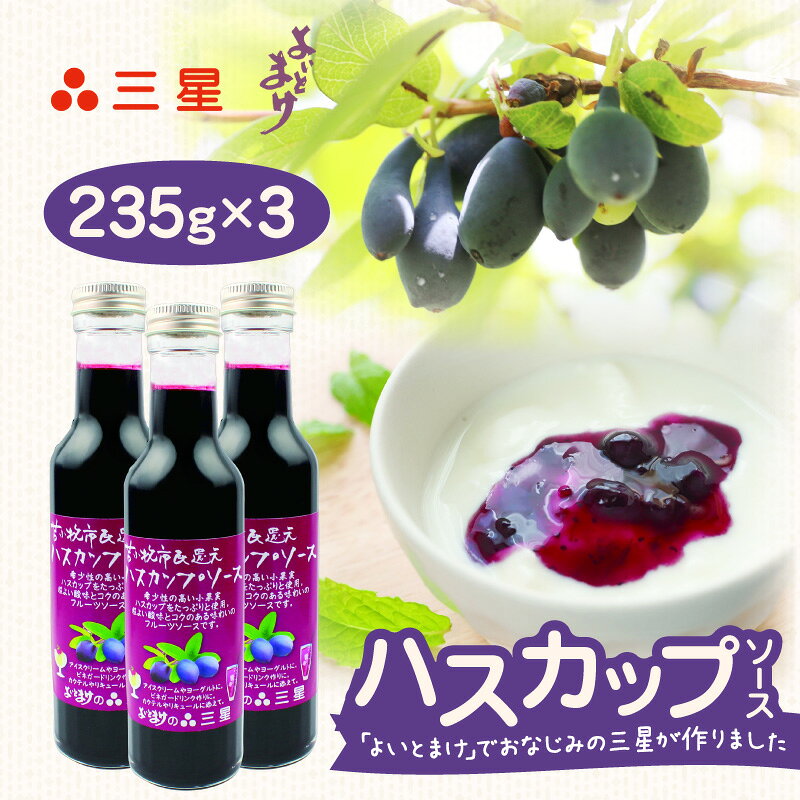 カナダ産 市民還元 ハスカップ ソース 235g 3瓶 バニラアイス ヨーグルト フレーバー カクテル ビネガードリンク リキュール フルーツソース 甘い 美味しい 三星 北海道 苫小牧市 おすすめ ランキング プレゼント ギフト