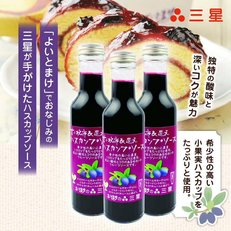【ふるさと納税】 カナダ産 市民還元 ハスカップ ソース 235g 3瓶 バニラアイス ヨーグルト フレーバー カクテル ビネガードリンク リキュール フルーツソース 甘い 美味しい 三星 北海道 苫小牧市 おすすめ ランキング プレゼント ギフト f012131-tomakomai-10000974 北海道苫小牧市 サンプル画像2