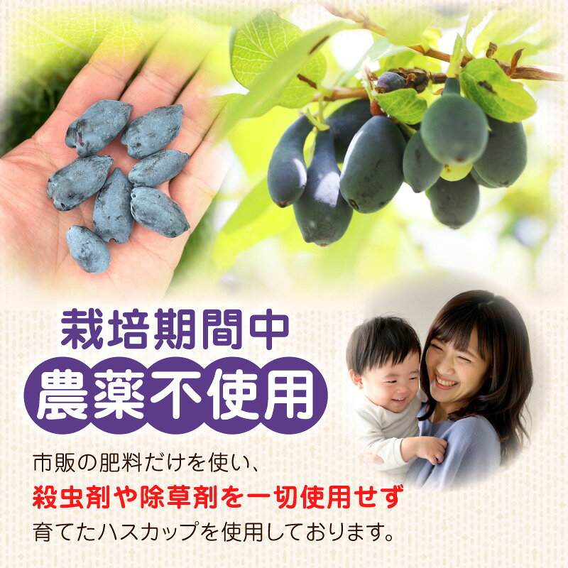 【ふるさと納税】 カナダ産 市民還元 ハスカップ ソース 235g 3瓶 バニラアイス ヨーグルト フレーバー カクテル ビネガードリンク リキュール フルーツソース 甘い 美味しい 三星 北海道 苫小牧市 おすすめ ランキング プレゼント ギフト f012131-tomakomai-10000974 北海道苫小牧市 サンプル画像3
