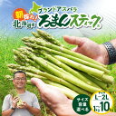 【ふるさと納税】<選べるサイズと容量> ロマンス農園 ろまんスティック Lサイズ 2Lサイズ 1kg ~ 10kg アスパラガス 野菜 旨味 うま味 新鮮 やわらかい みずみずしい 糖度 ブランド アスパラ 国産 数量 期間 限定 北海道 苫小牧市 おすすめ ランキング プレゼント ギフト