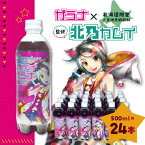 【ふるさと納税】【ガラナ 500ml×24本】北乃カムイ