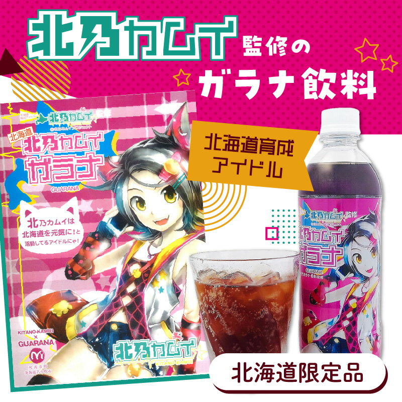 【ふるさと納税】【ガラナ 500ml×24本】北乃カムイ