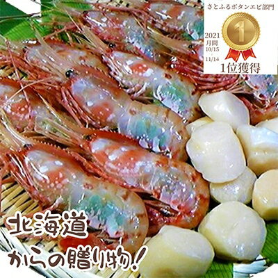 【ふるさと納税】【厳選品】　刺身用ボタンエビ大サイズ500g　+　刺身用ホタテ200gセット【1004023】